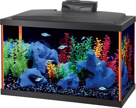 10 gallon aquarium fish ideas|10 gallon freshwater fish tank.